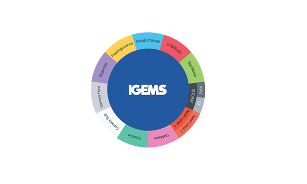 IGEMS